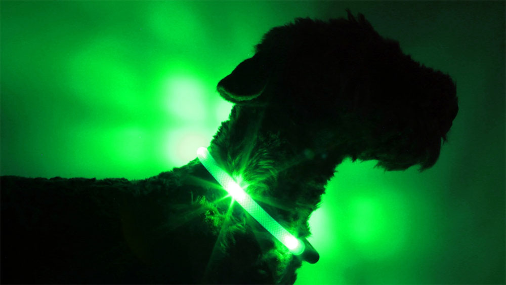 světelný límec Leuchtie v extrémně zářivě zeleném provedení v průhledné zkumavce